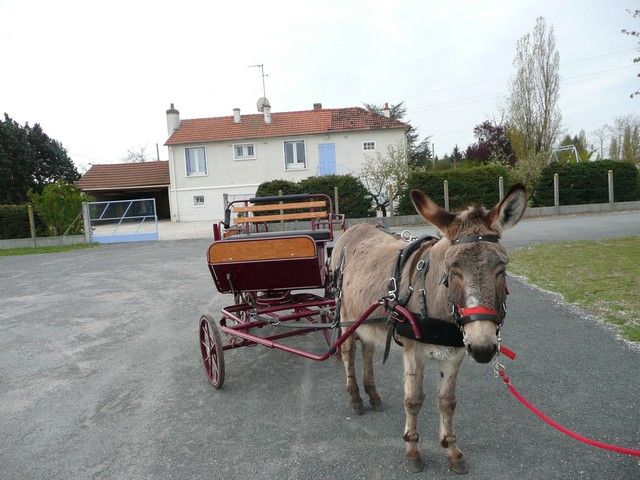 Neuvy mars 2012 (7).jpg